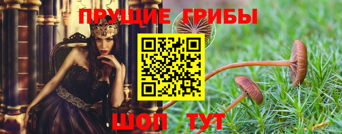 Псилоцибиновые грибы мицелий Топки