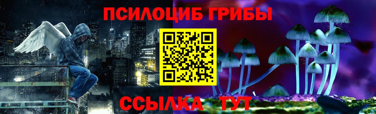 Топки  купить   Вход с VPN  Галлюциногенные грибы прущие грибы 